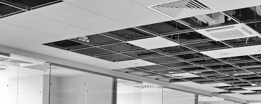 Ceilings & Partitions